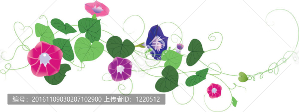 夢幻花園背景清晨榮耀