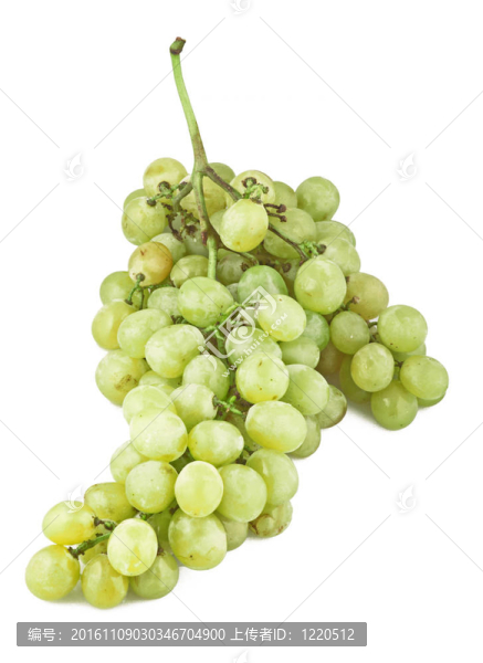 新鮮葡萄滴接近