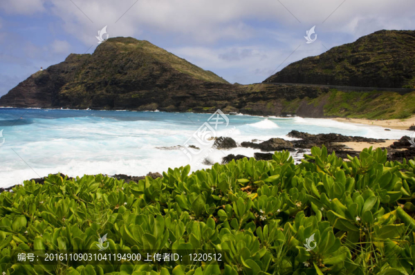 夏威夷海灘
