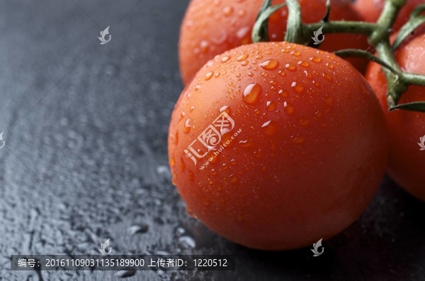 西紅柿