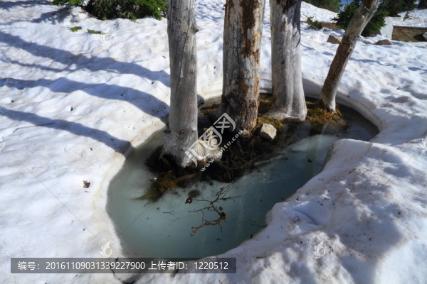 融化在山上的雪