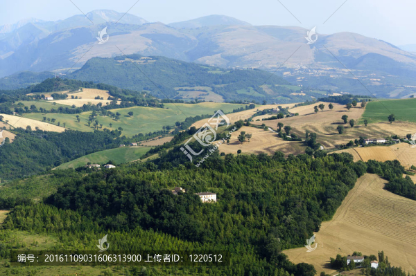 游行；夏天的風景