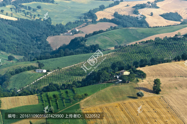 游行；夏天的風(fēng)景