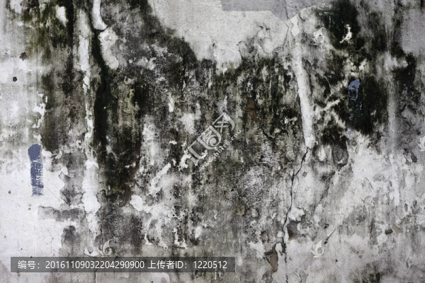 垃圾破碎的混凝土墻