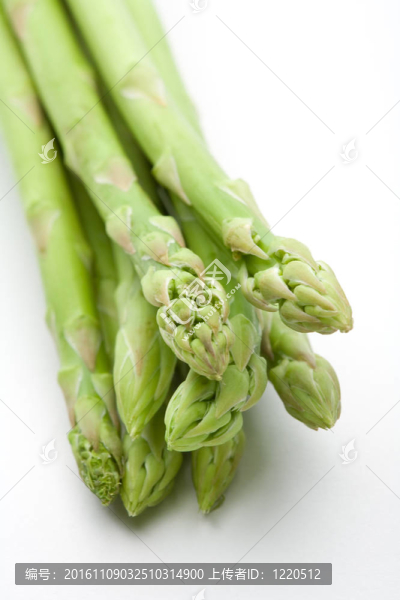 綠蘆筍