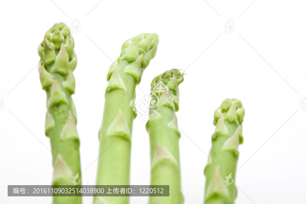 綠蘆筍