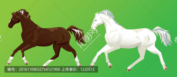 2匹馬在綠色背景上