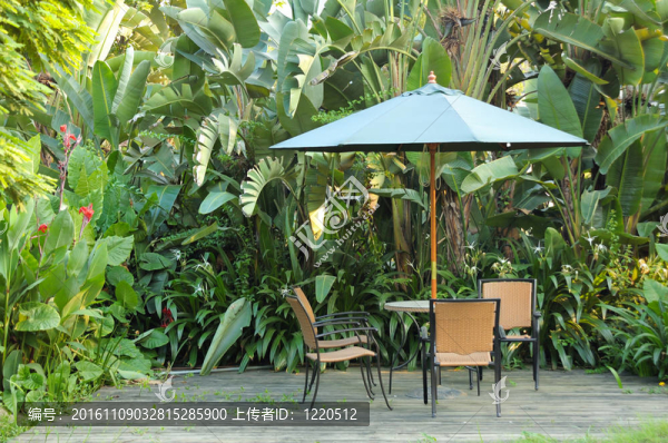 花園家具-藤椅和桌子在傘下的木地板的香蕉樹背景在花園
