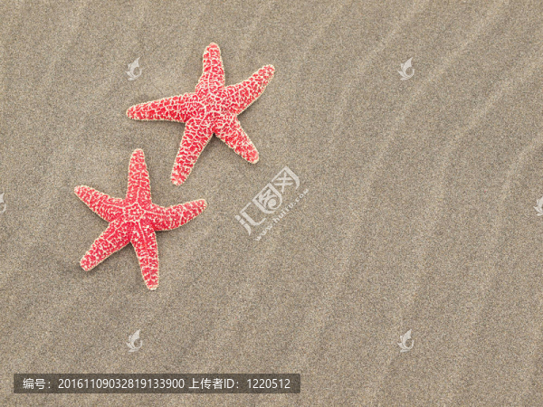 紅海星在沙灘上，海風吹拂的沙紋