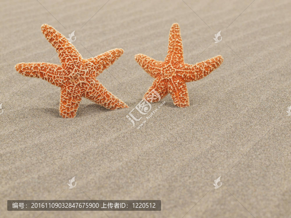 海灘上的兩個海星暴風(fēng)肆虐的沙紋