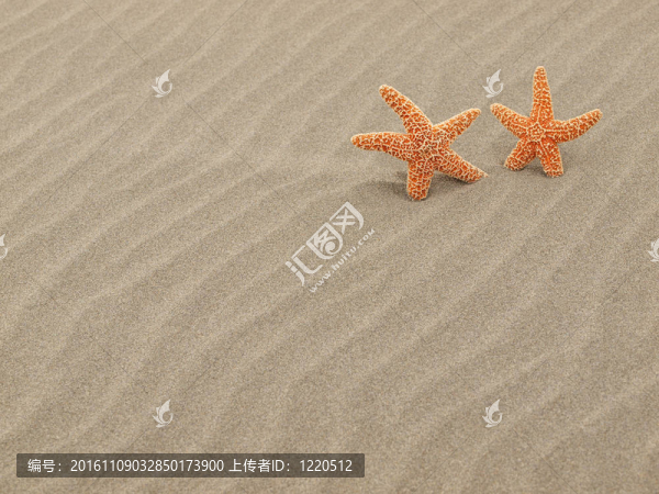 海灘上的兩個(gè)海星暴風(fēng)肆虐的沙紋