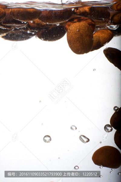水里的咖啡豆