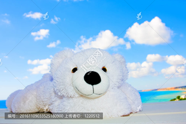 白色泰迪熊在天空中