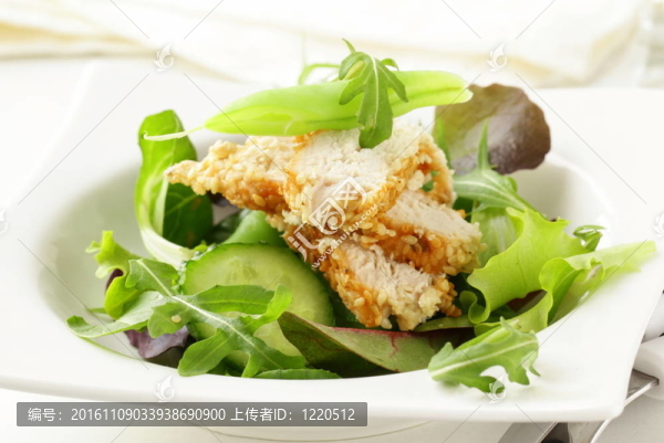 雞肉蔬菜沙拉；