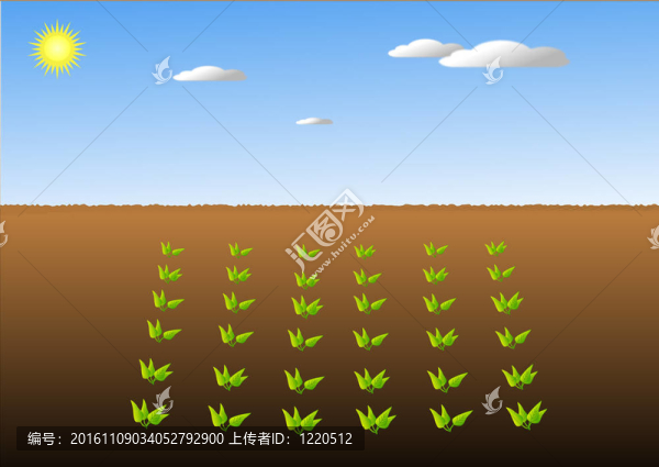 作物的領(lǐng)域