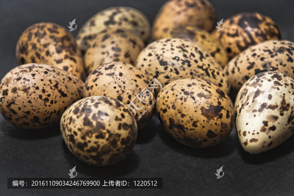 鵝蛋