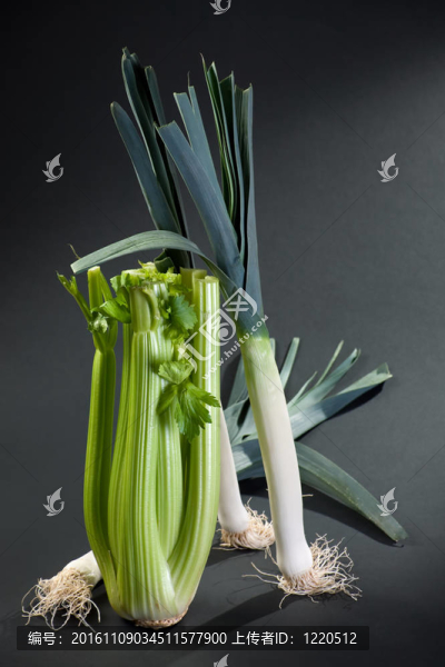 芹菜、韭菜