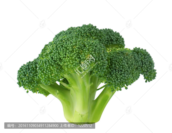 新鮮的西蘭花