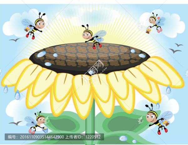 向日葵