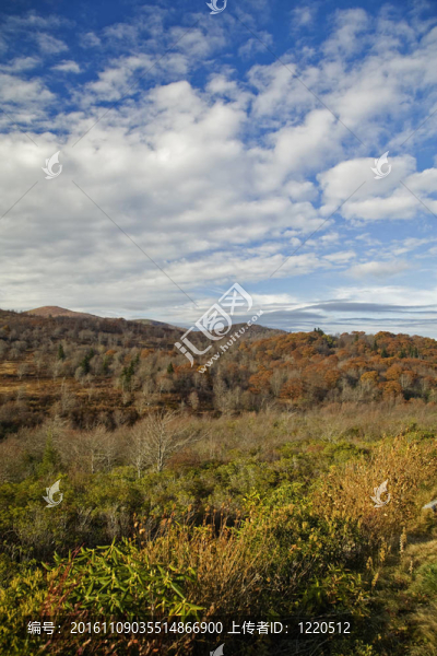 秋天；Graveyard,Fields,Area