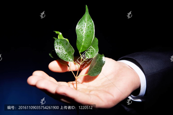 新的生活