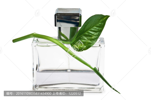 香水瓶和綠葉