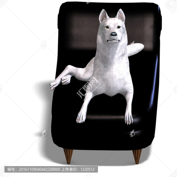 White,Wolf。3D渲染與剪輯路徑和陰影超過白色
