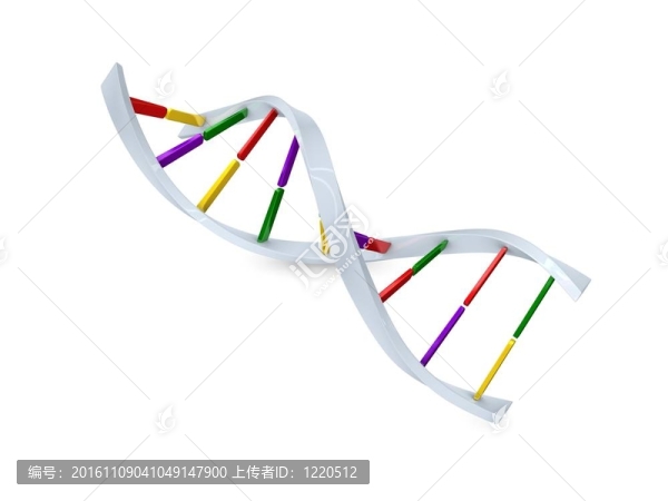 DNA