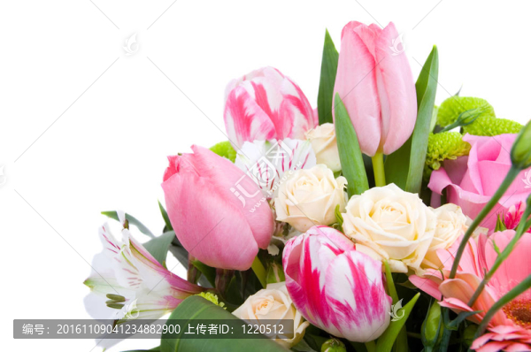 一束花