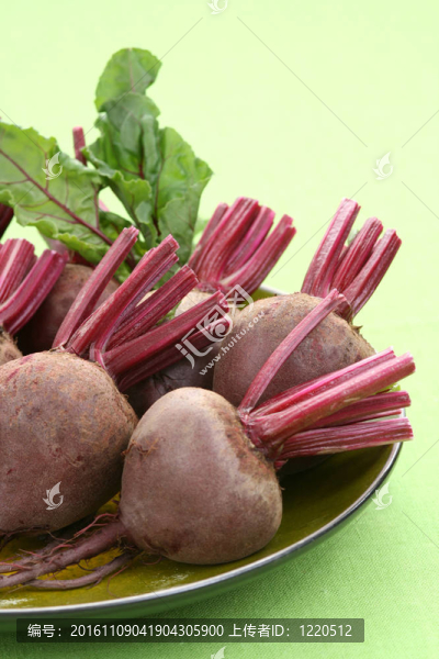甜菜根