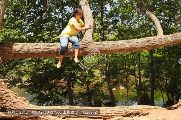 在一個(gè)肢體上