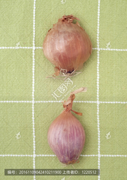 綠色廚房毛巾青蔥