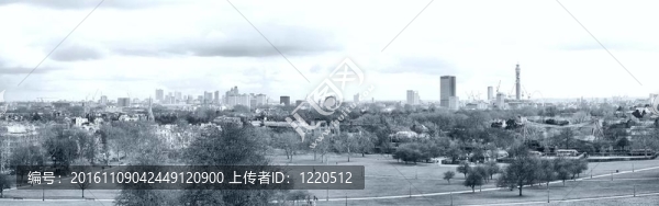 櫻草山；倫敦