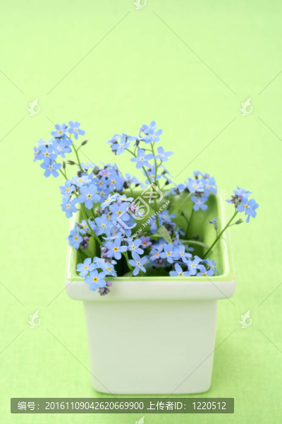 不要忘記我