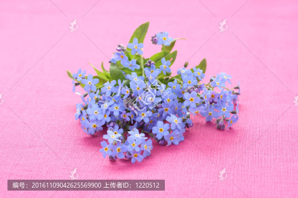 不要忘記我