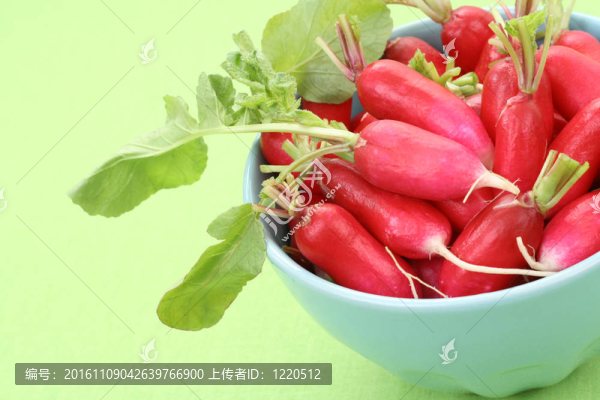 蘿卜