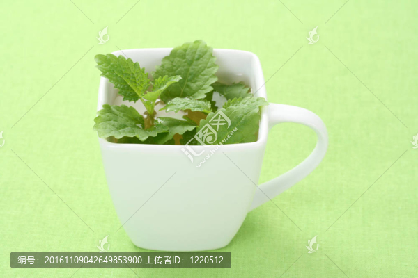 薄荷錫蘭茶