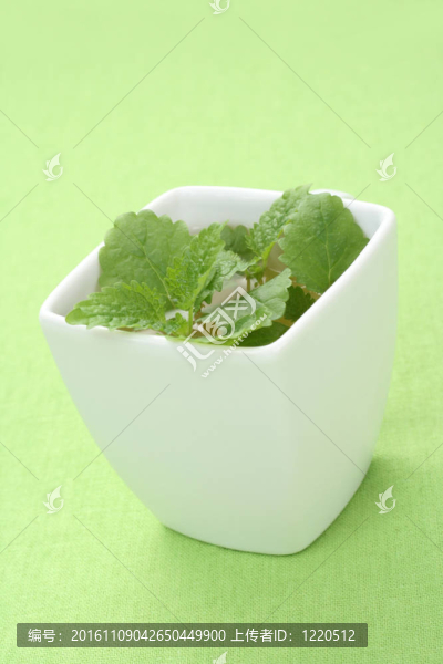 薄荷錫蘭茶