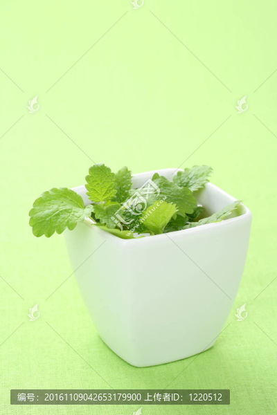 薄荷錫蘭茶
