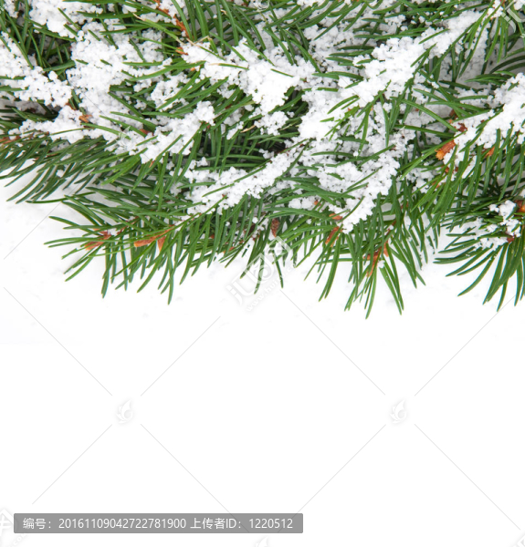 雪的圣誕框架