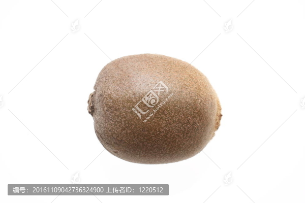 幾維鳥