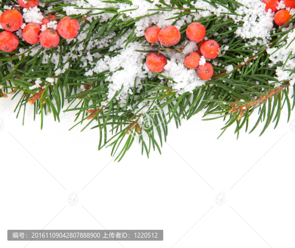 雪的圣誕框架