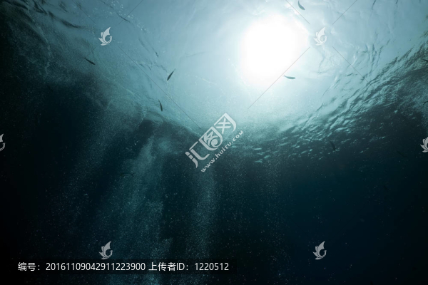 紅海中的氣泡。