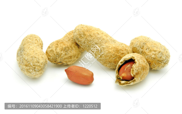 磨碎的堅果