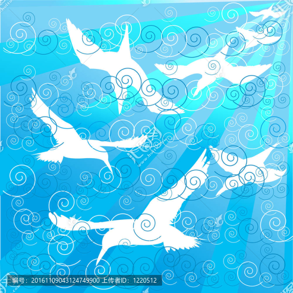 白色的鳥在海洋里游泳