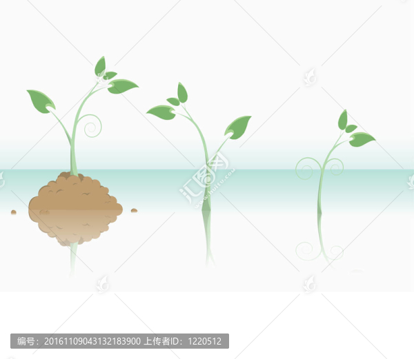 新生命植物概念