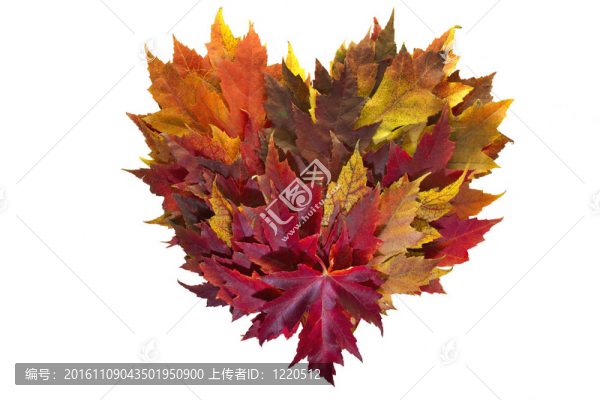 楓葉混合秋天的顏色心花環(huán)