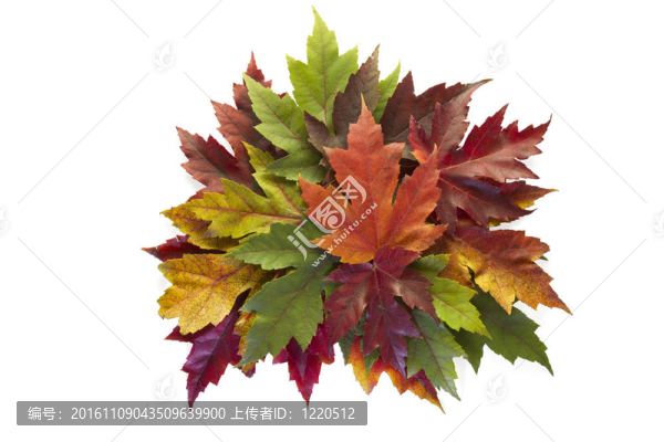 楓葉混合秋天顏色花環(huán)