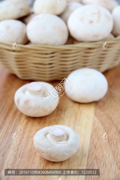 菜籃子里的蘑菇