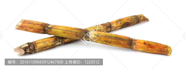 兩片甘蔗莖